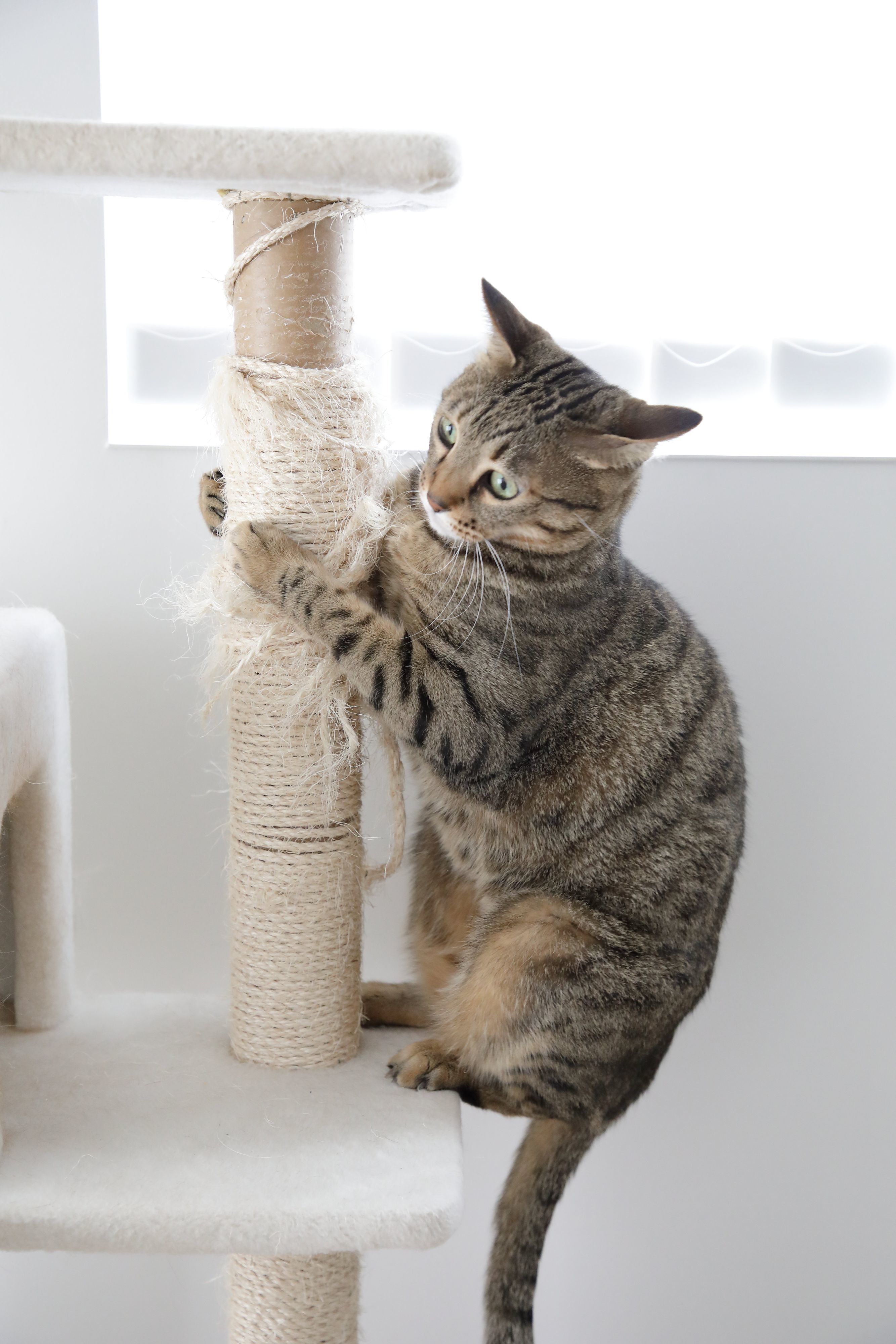 撮影／尾﨑たまき