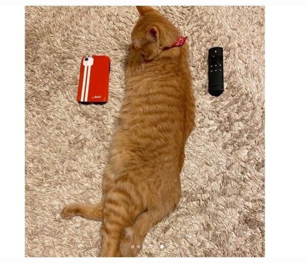 1才になったわさびちゃん