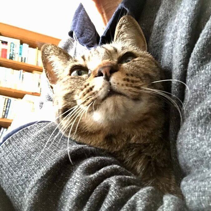 飼い主さんに抱っこをされるさくらさん