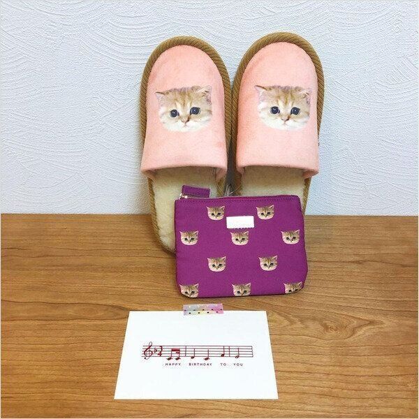 PAUL&JOEの冬アイテム