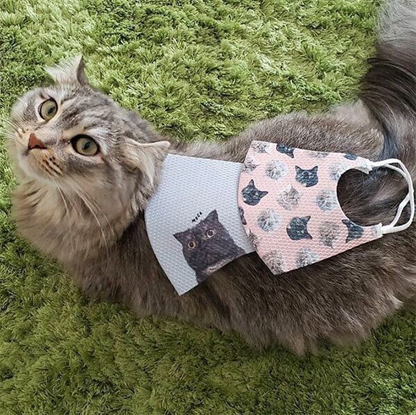 うちの子マスク