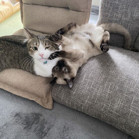 我慢する五郎くん