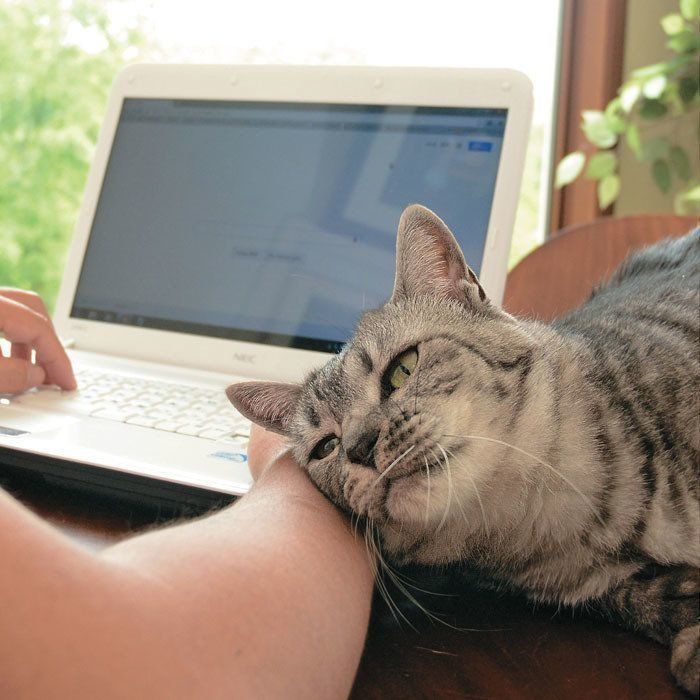 撮影／栗林　愛