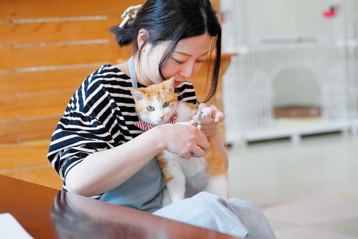 撮影／後藤さくら