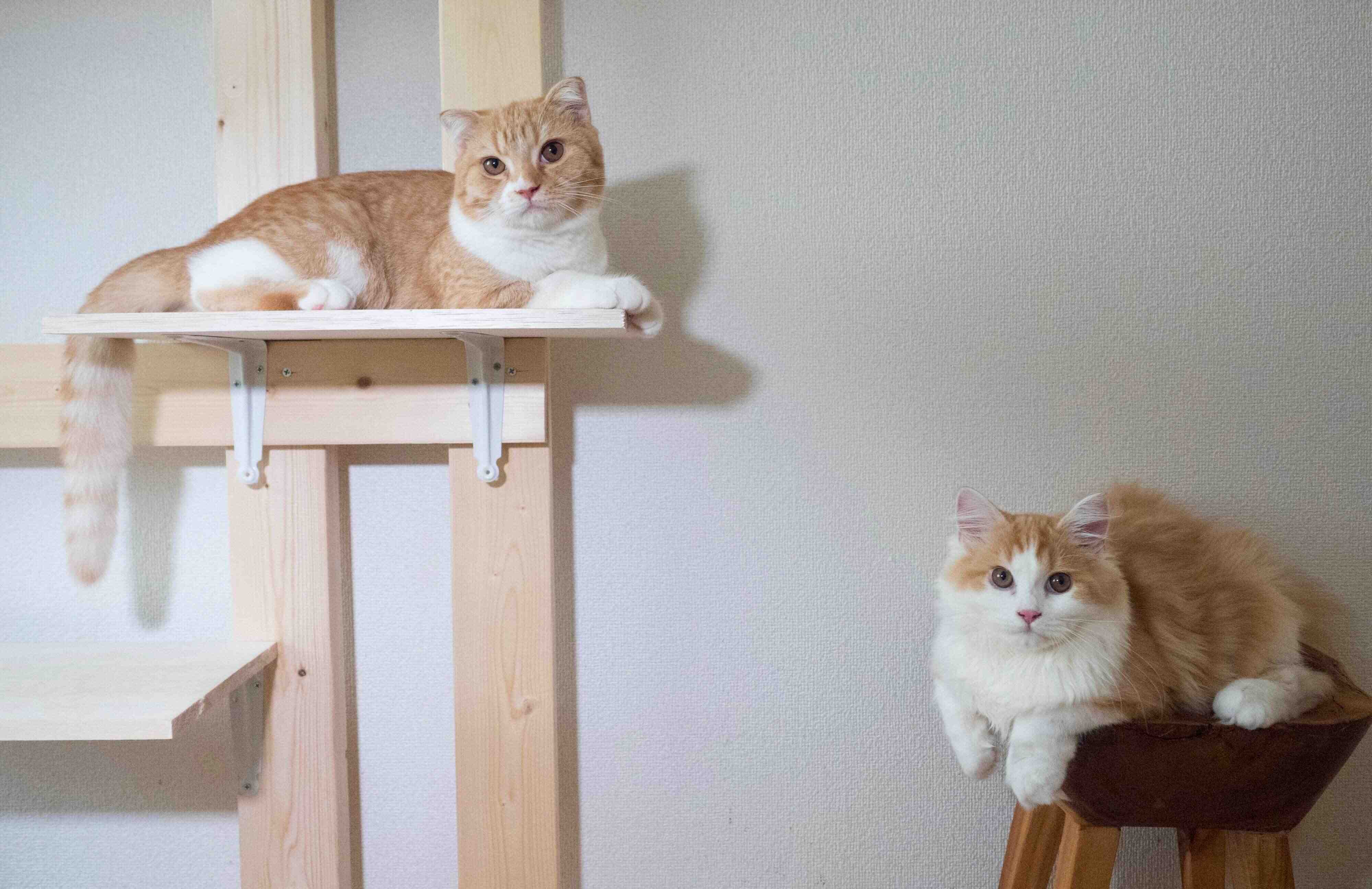 撮影／小森正孝