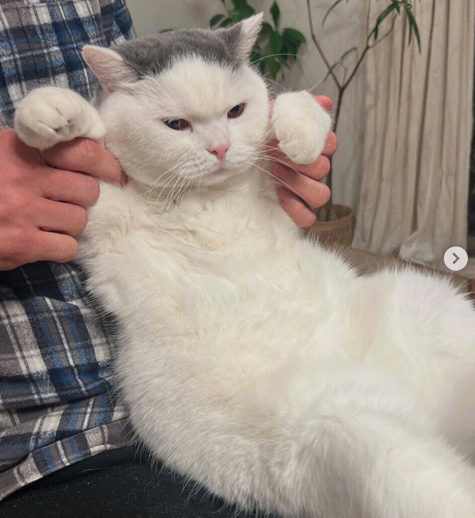 抱っこされるカツヲくん