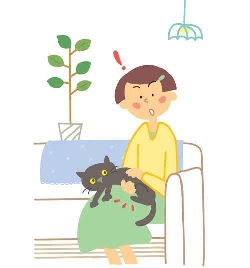 膝の上に猫がいるイラスト