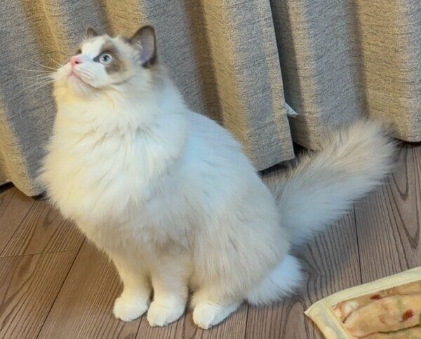 生後11カ月のカニちゃん