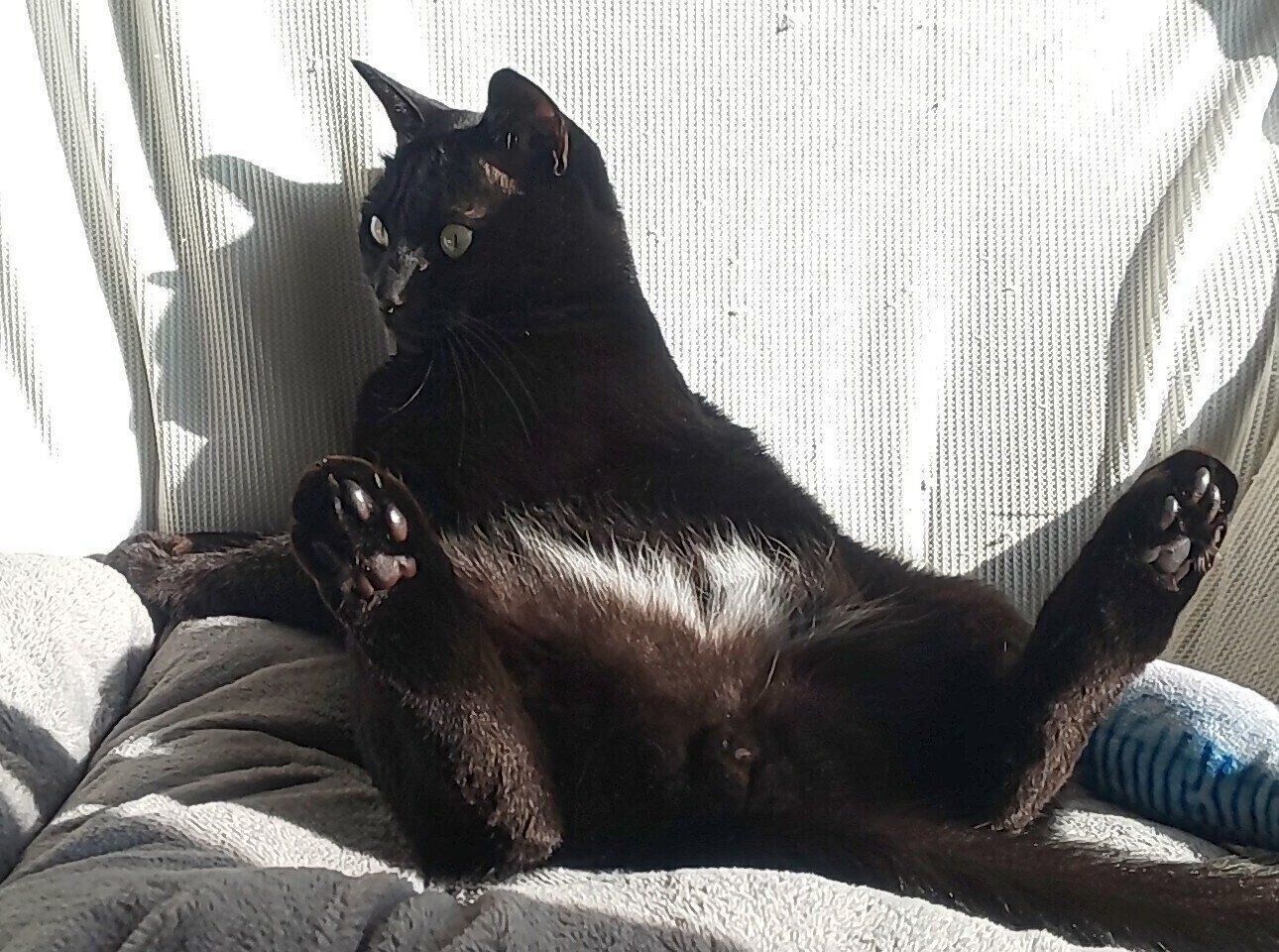 くつろぐロコくん