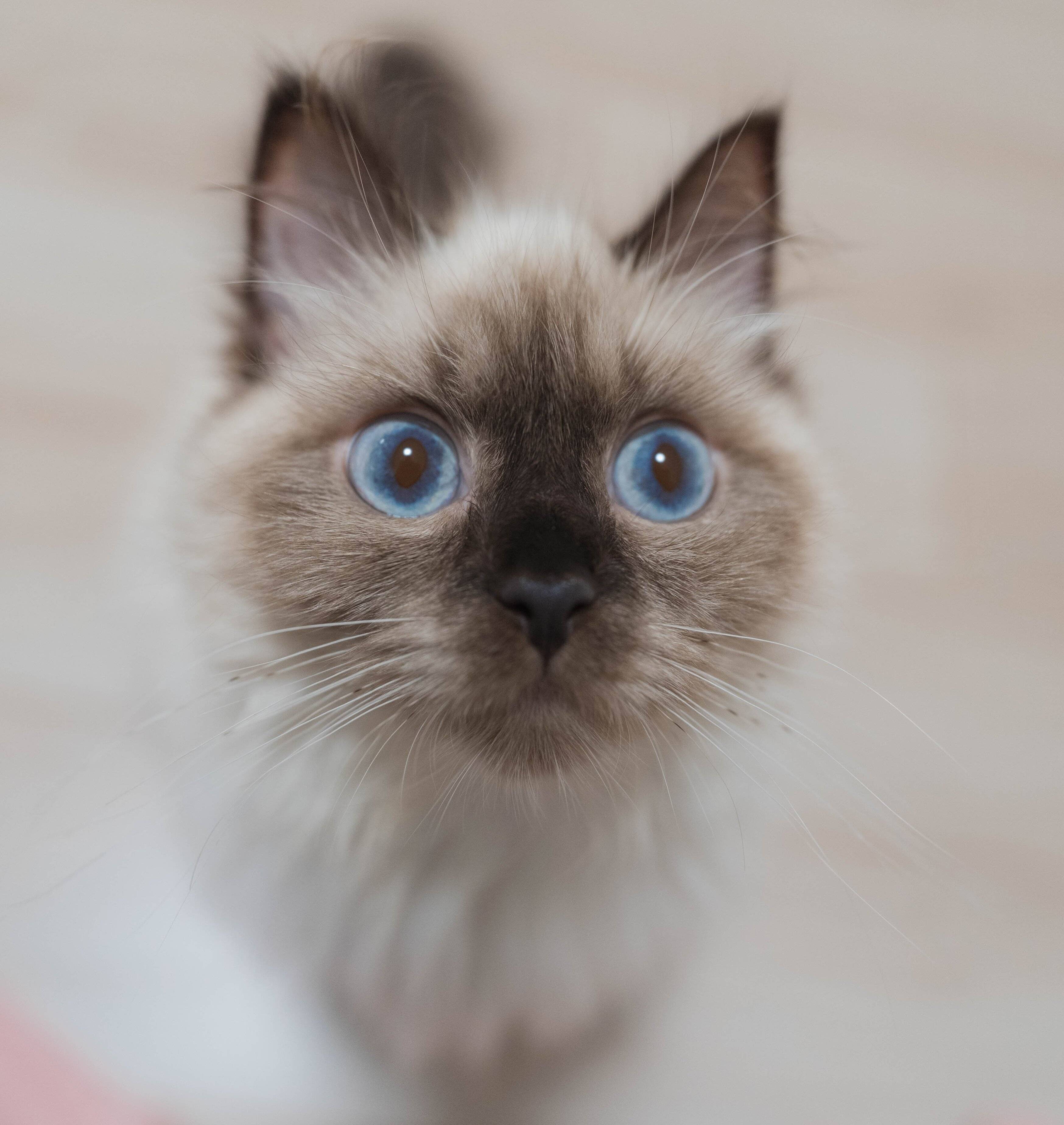 現在のつくしちゃん
