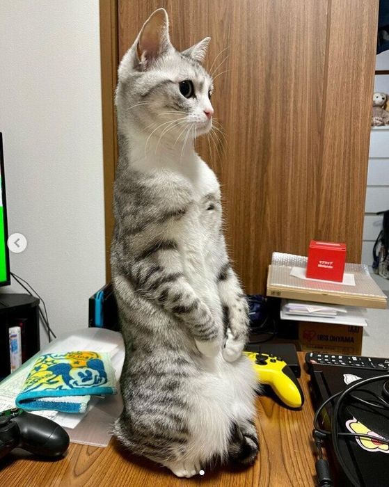 さらにおしりを下げる美月ちゃん