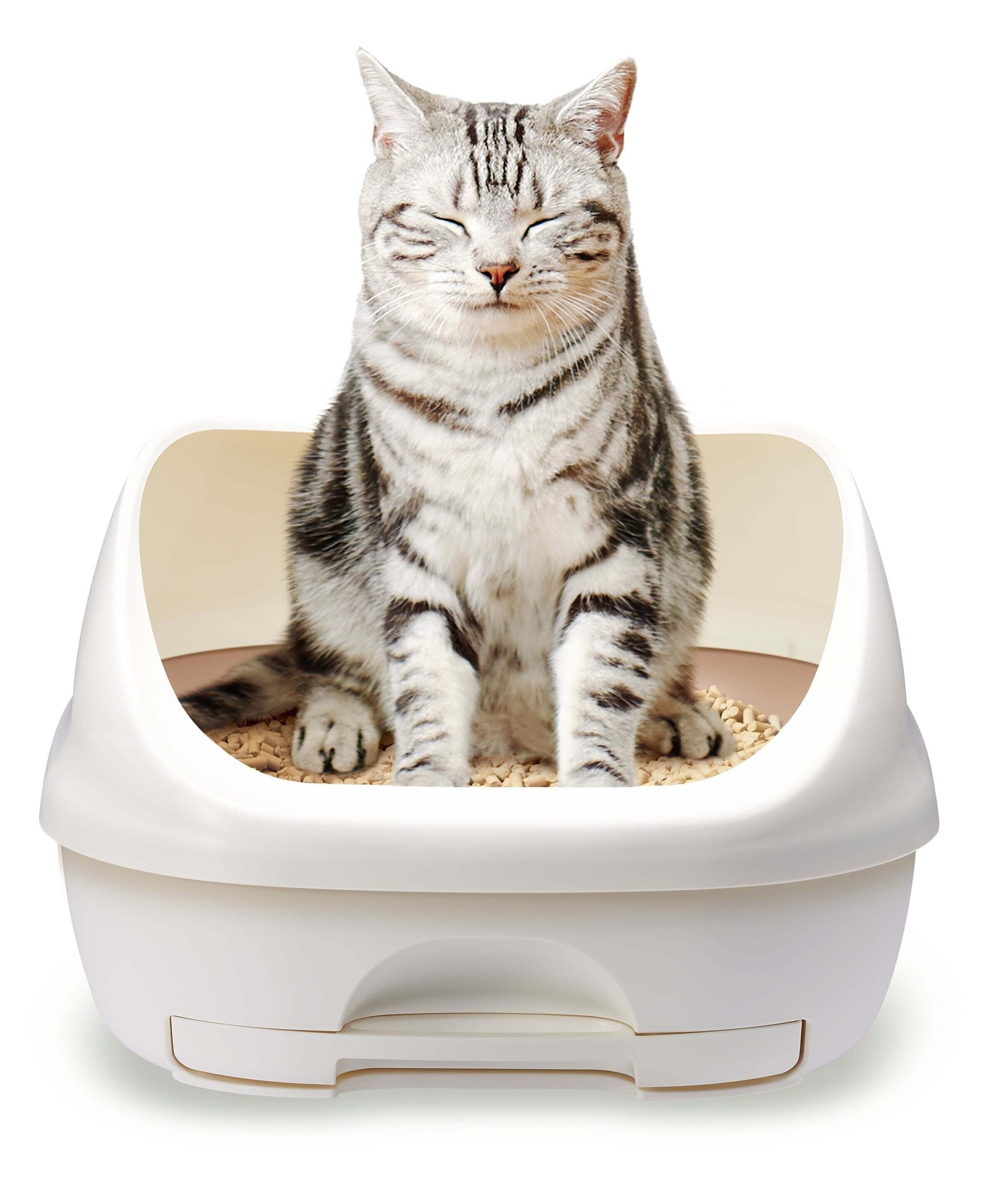 写真提供／ユニ・チャーム