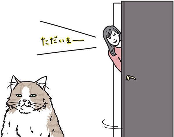 無視する猫