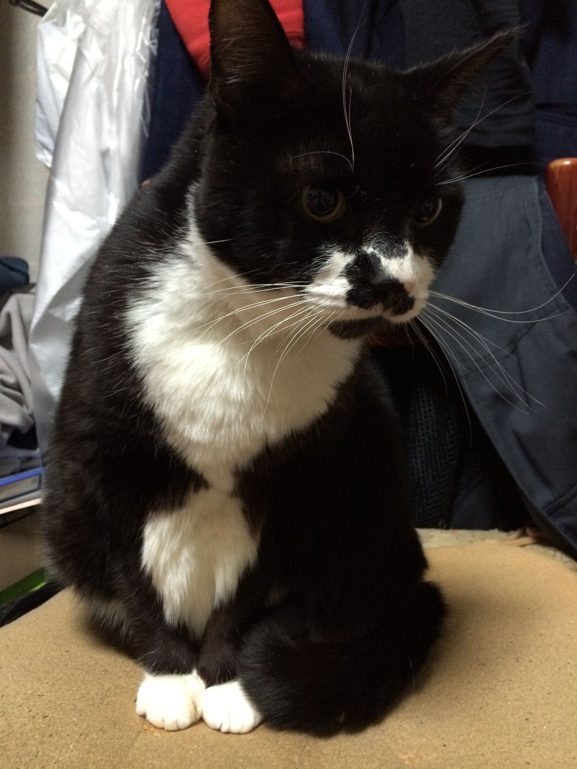 画像／読者提供