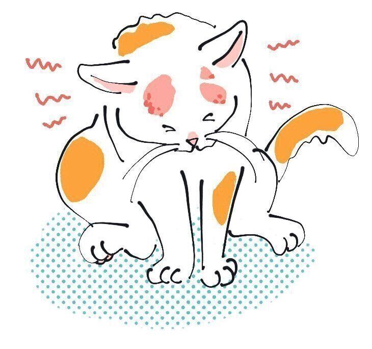 イラスト／はなさきロージー