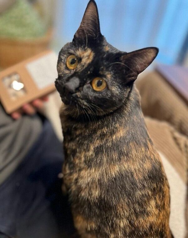 見つめる蒼ちゃん