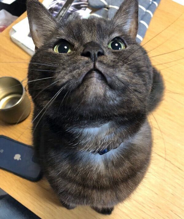 上を見るあおみねくん