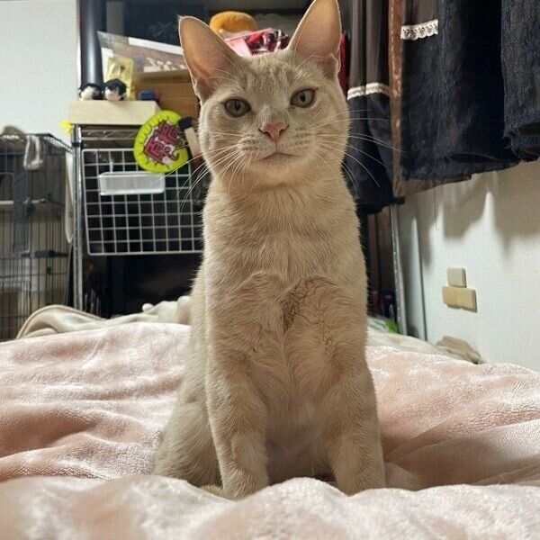 見つめるダニエルくん