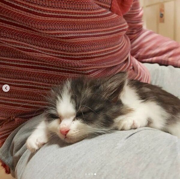 安心して眠るもくくん