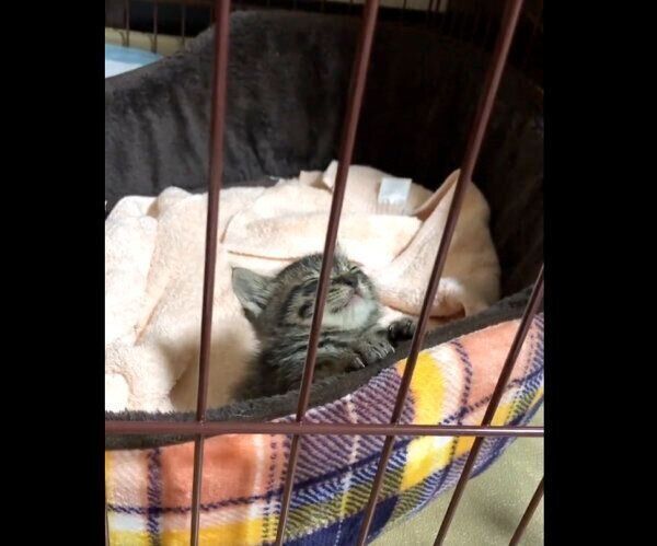 寝落ち寸前のなぎくん