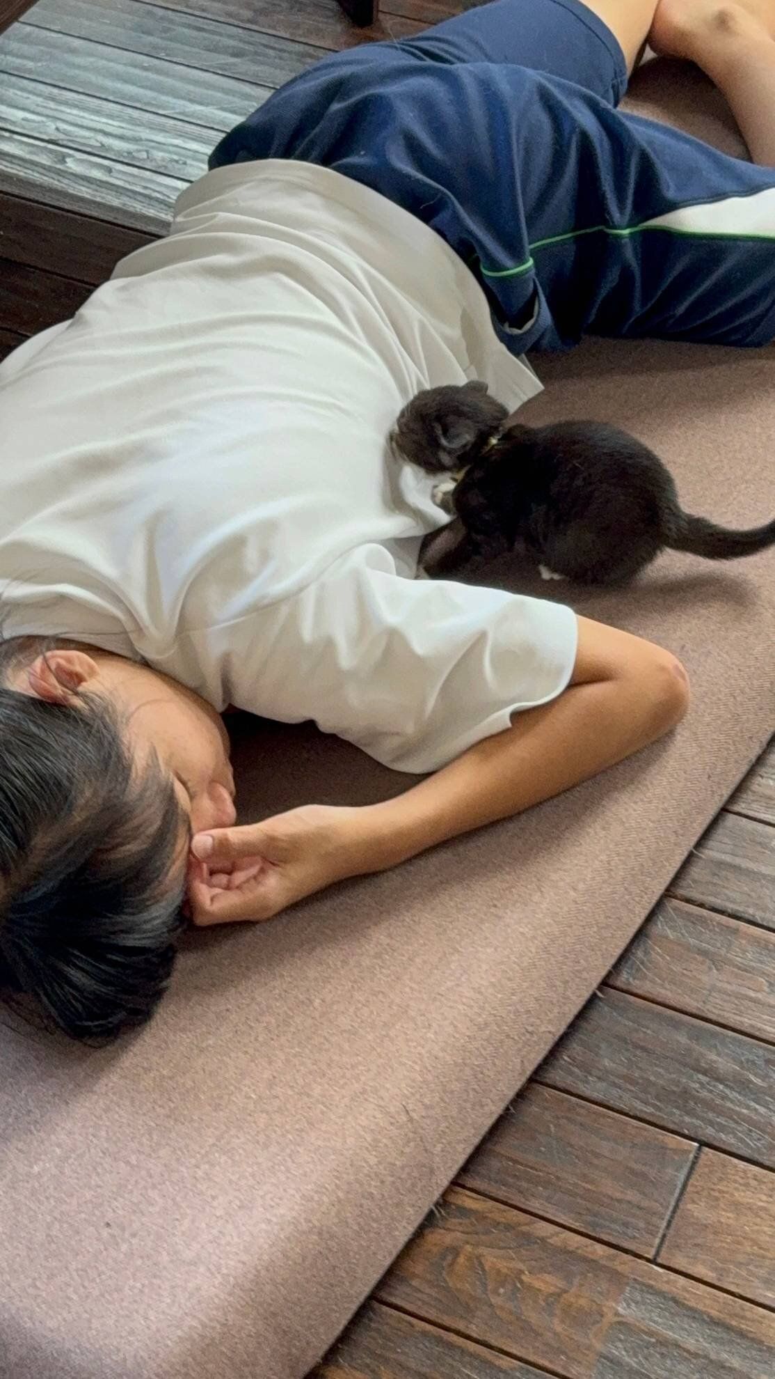 写真提供／子猫園ベルソーデシャトンズ