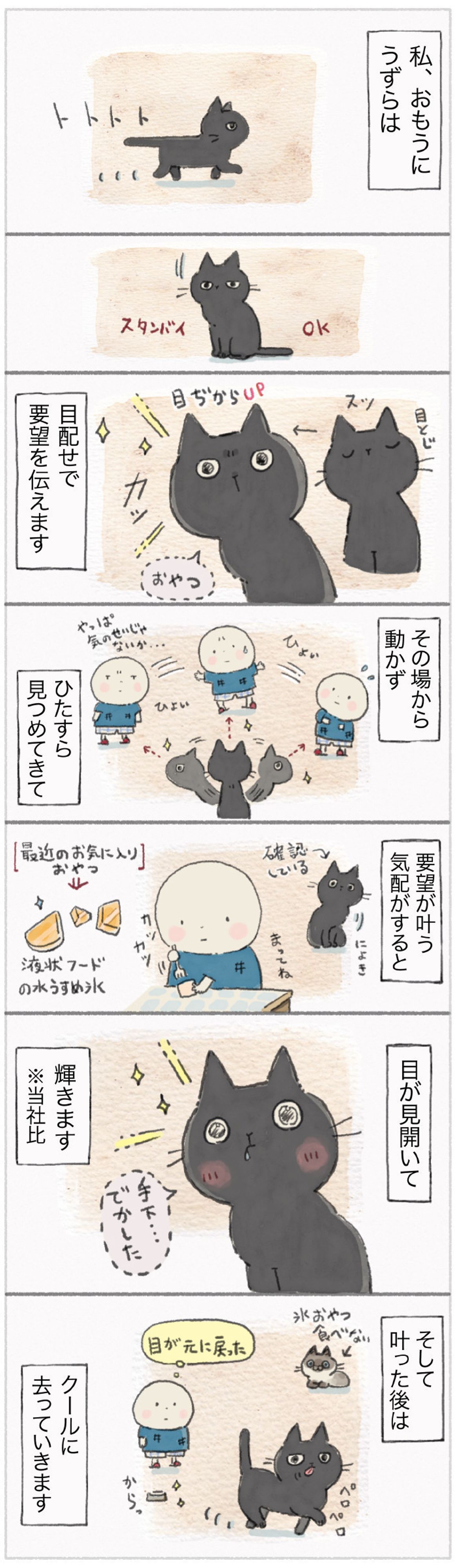 真の猫は目で語る 熱 いキラキラ視線で要望を伝えます ねこ連れ草 33話め ねこのきもちweb Magazine 真の猫は目で語る 熱 いキラキラ視線で要望を伝えます ねこ連れ草 33話め ねこのきもちweb Magazine