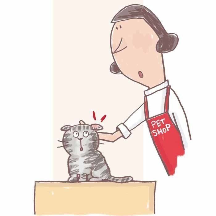 イラスト／上垣厚子