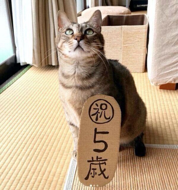 お座りするこんぶちゃん