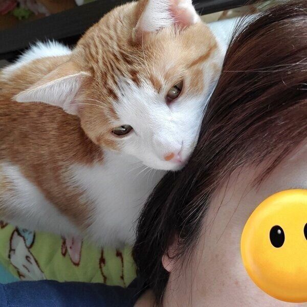 飼い主さんに寄り添うサスケくん