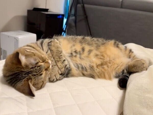 ぎゅっとするもなちゃん