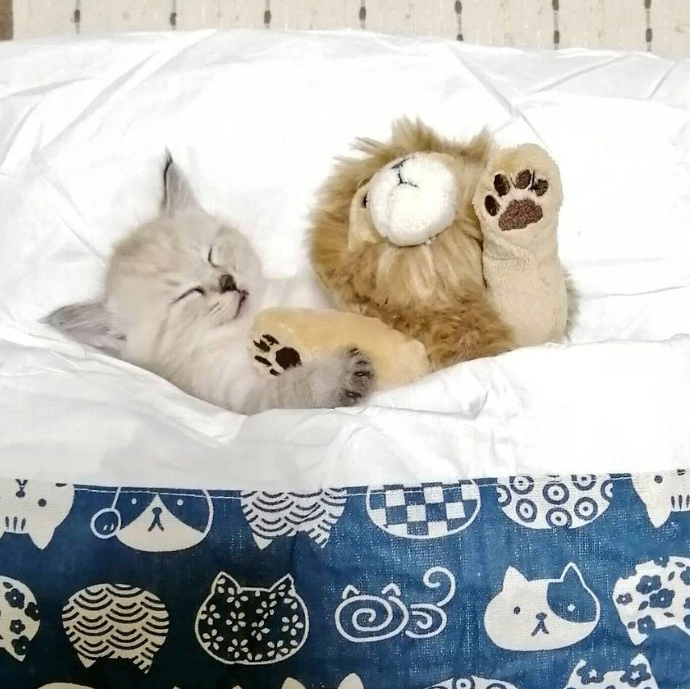 布団で眠るつむぎちゃん