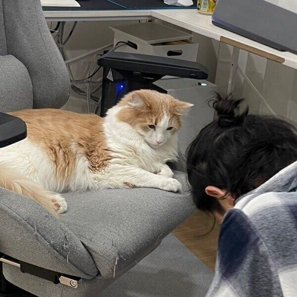 博士くんと旦那さん