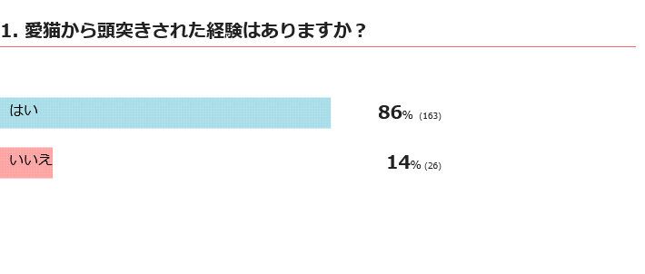 愛猫から頭突きされたことはある？