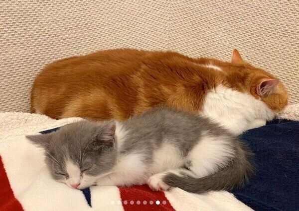 寄り添うコスケくんとココタくん