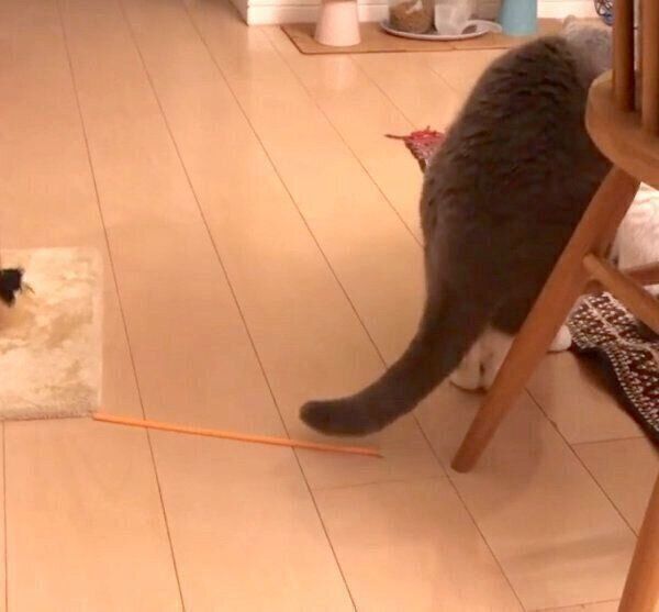 「もじもじウォーク」をするドラ千代くん