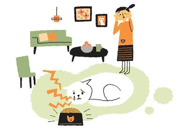 歯周病になった猫