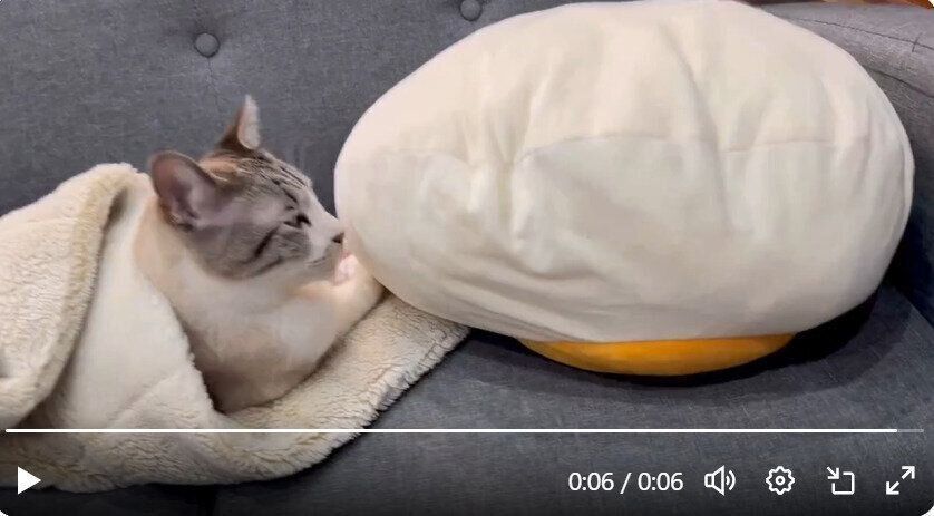 クッションをなめるういろうくん