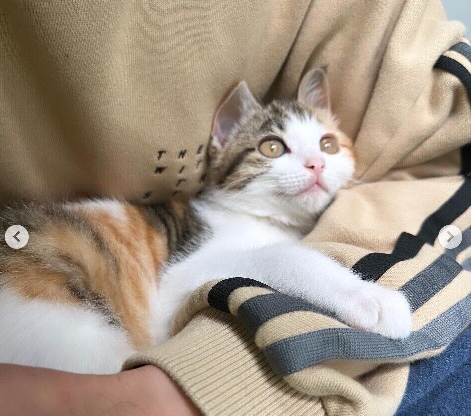 飼い主さんに甘えるうみちゃん