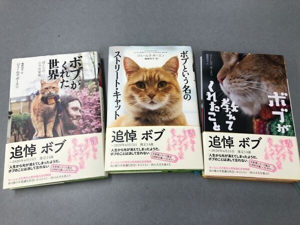 映画パンフレット猫ととうさん五香宮の猫が教えてくれたことねこしまボブという名の猫 映画パンフレット猫ととうさん五香宮の猫が教えてくれたことねこ