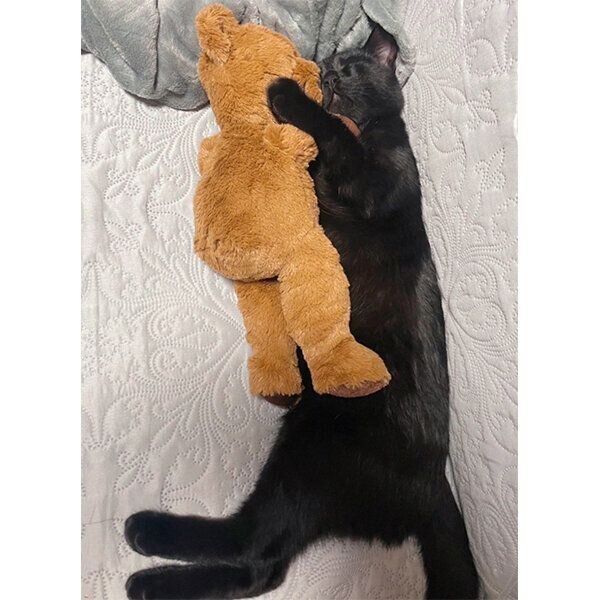 ぬいぐるみに抱きつくうにくん