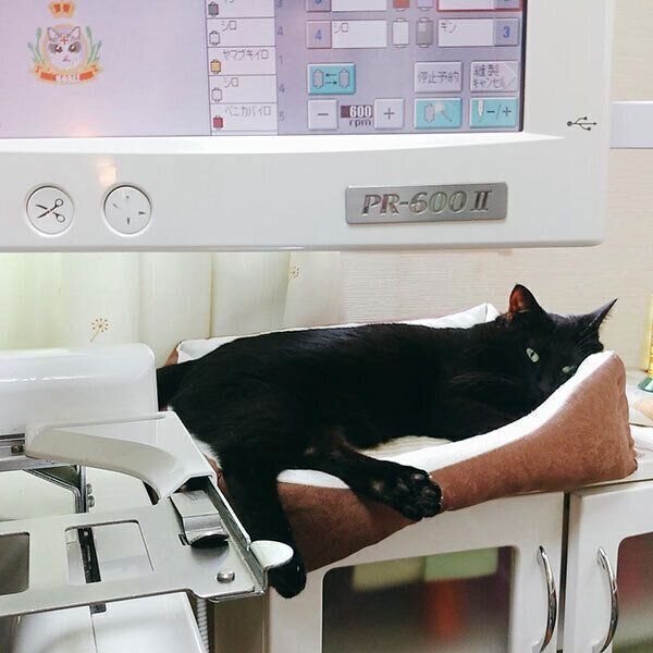 刺繍ミシンとシジミちゃん