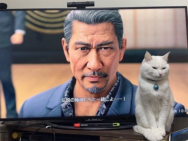 伝説の極道と並ぶハク様