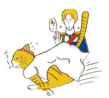 イラスト／モリヤリョウコ