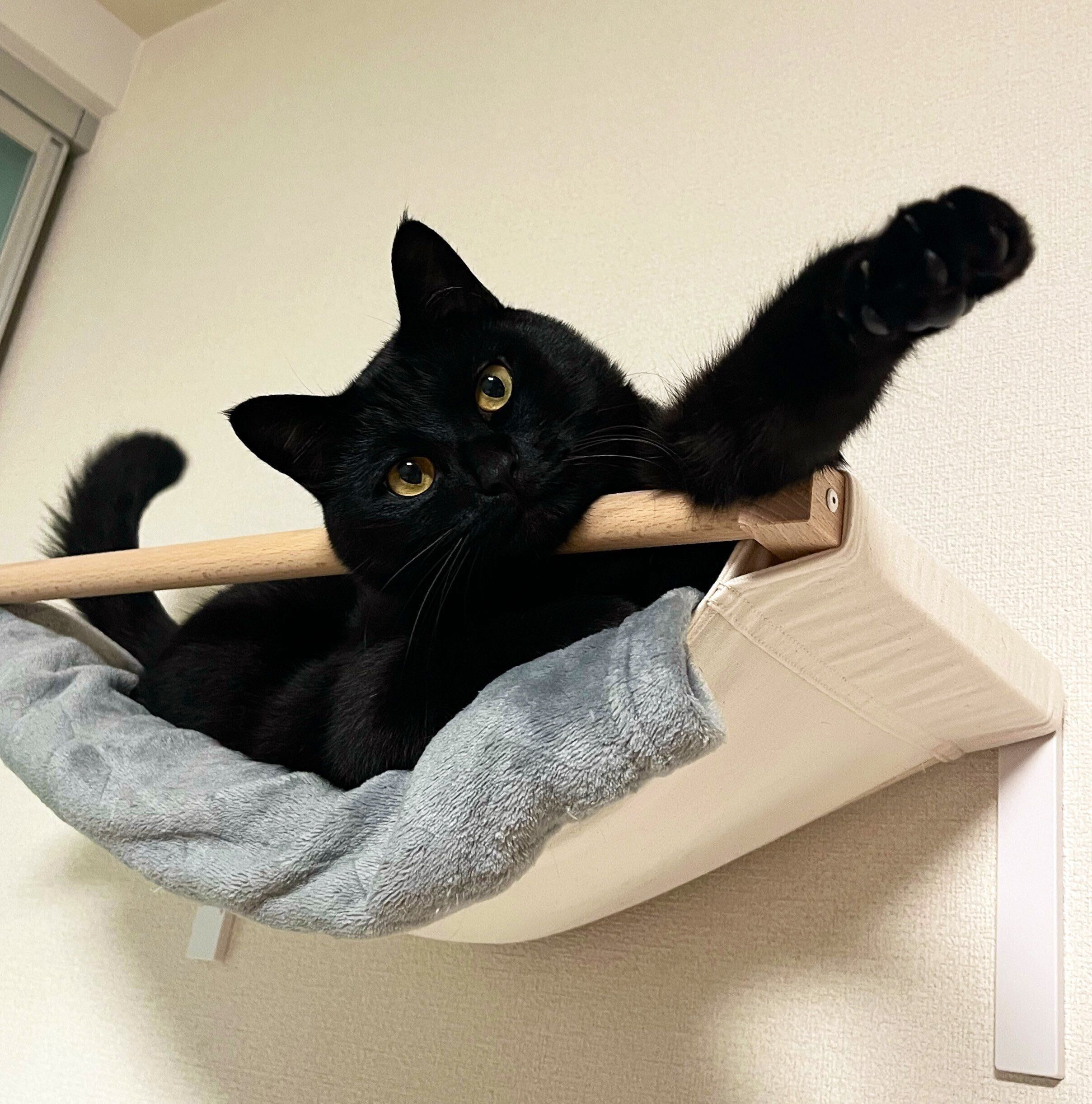 くつろぐうにくん