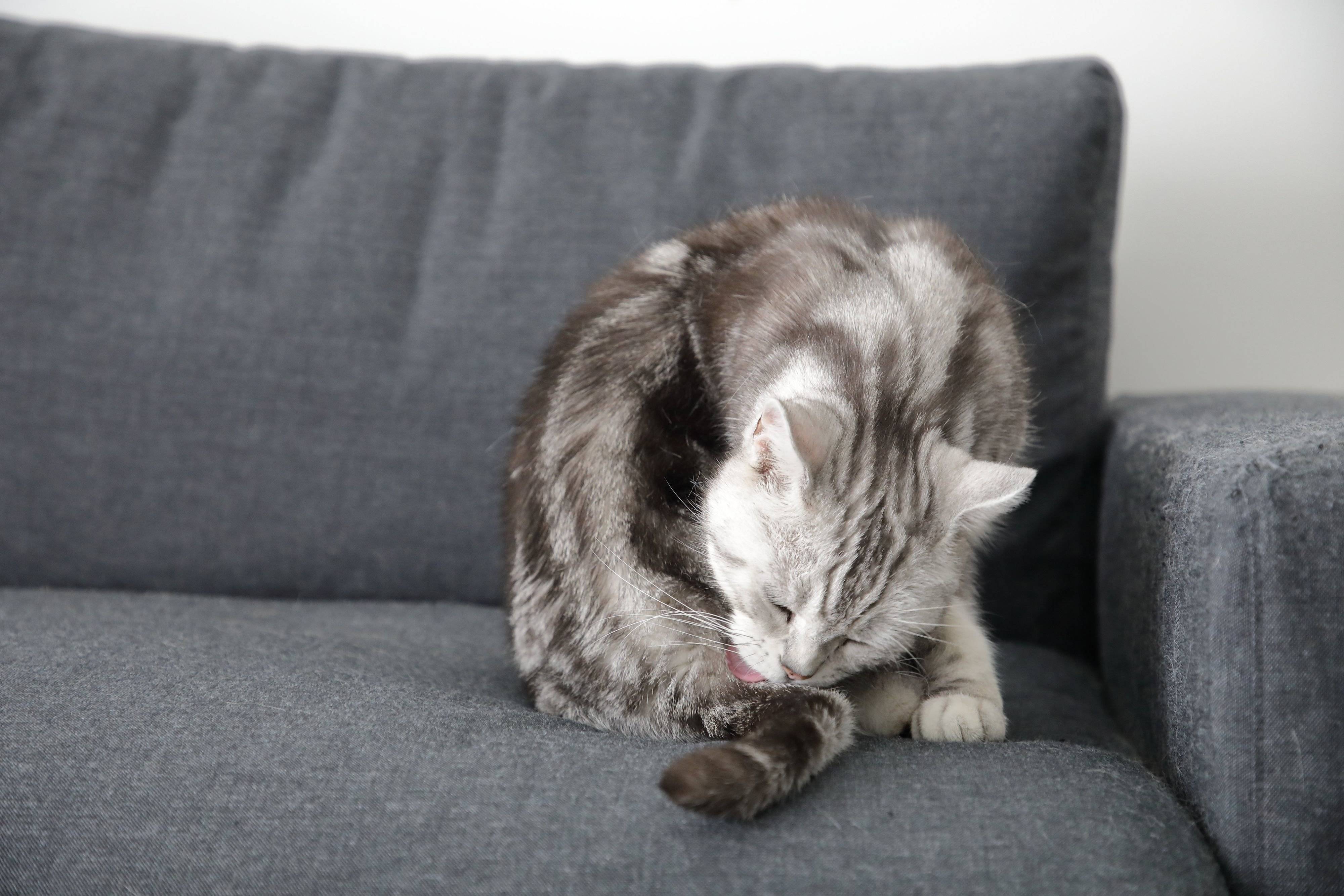 撮影／尾﨑たまき