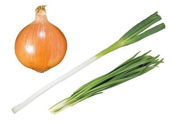 玉ねぎ・長ねぎ・にら