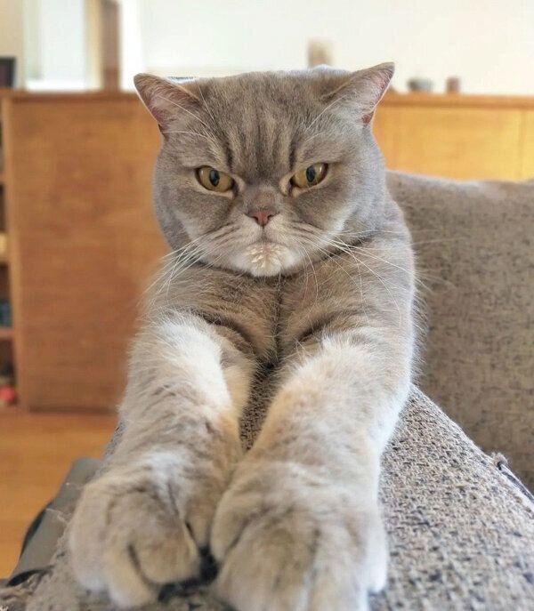 リラックスするアドちゃん