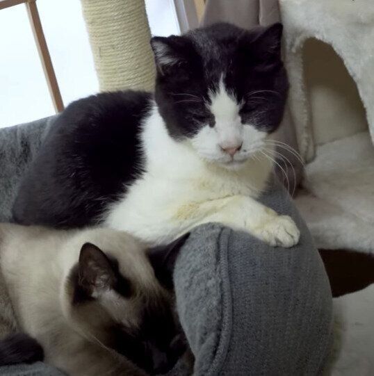 元気くんと、わらびちゃん