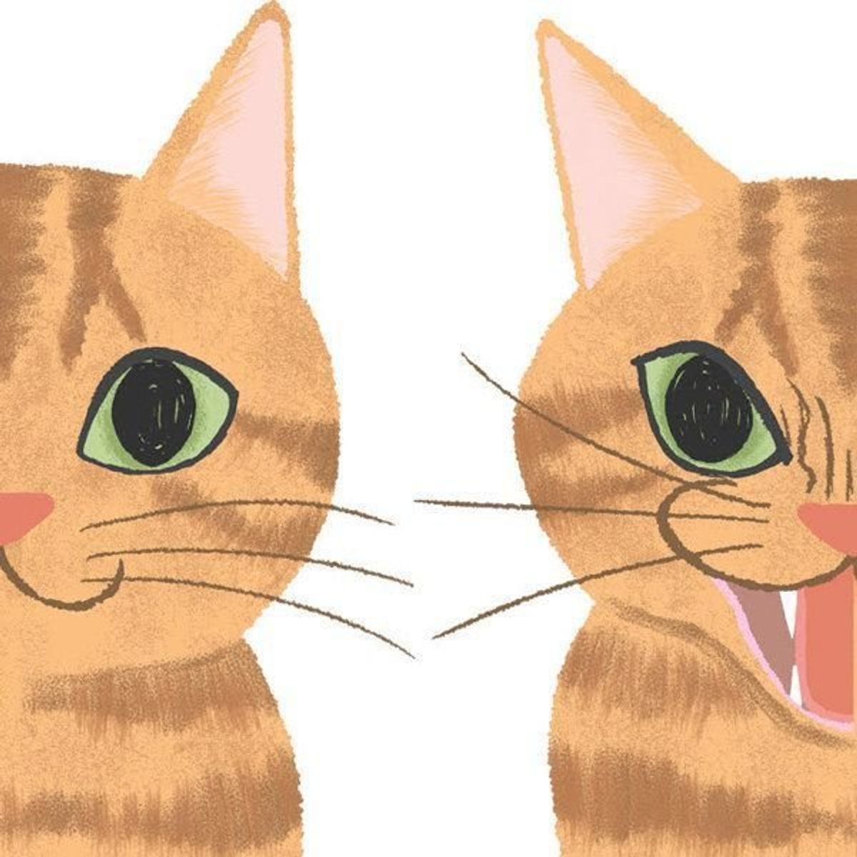 穏やかな愛猫が 突然凶暴に それって 激怒症候群 かも ねこのきもちweb Magazine 穏やかな愛猫が 突然凶暴に それって 激怒症候群 かも ねこのきもちweb Magazine