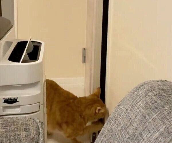 ドアを開けるちのくん